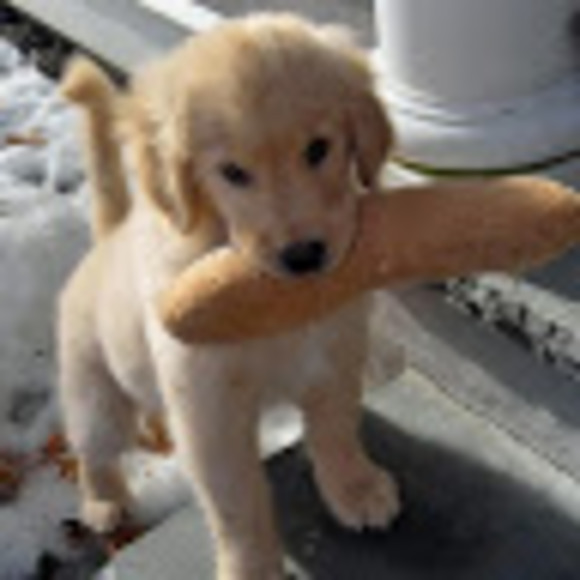 Meet your Posher, Katarzyna - Picture 1 of 1